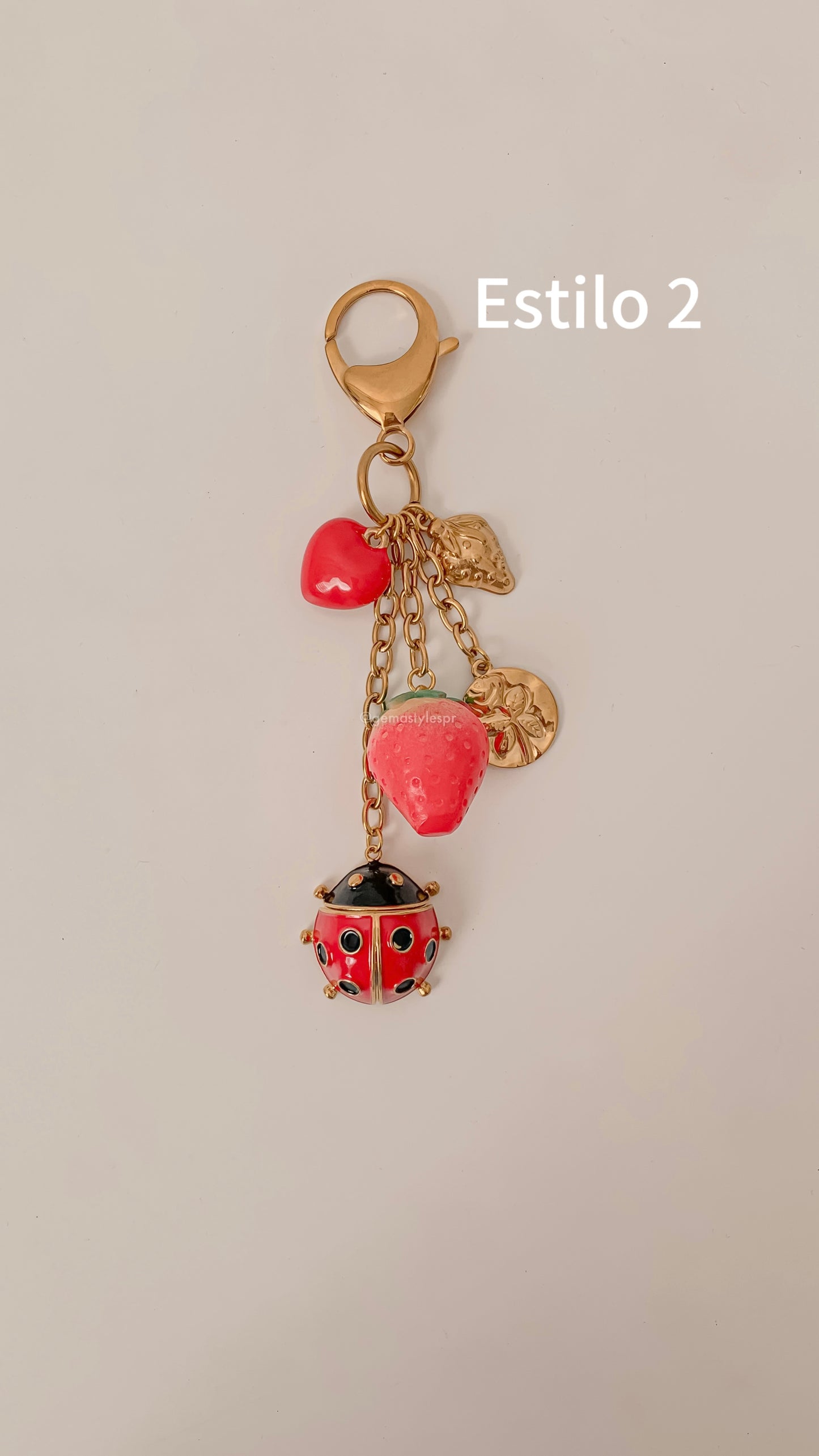 Lucky Bag Charm